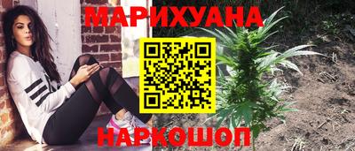 стафф Донецк
