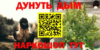 стафф Донецк