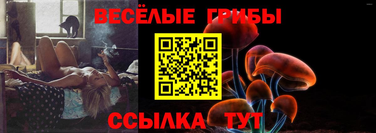 Нефтекамск  сколько стоит  Вход с VPN  Псилоцибиновые грибы Magic Shrooms 