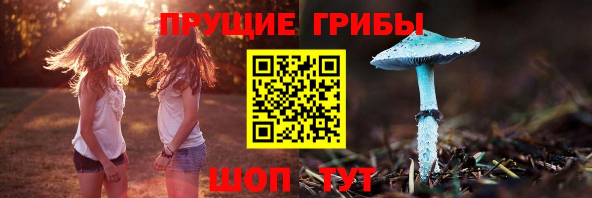 Галлюциногенные грибы GOLDEN TEACHER Нефтекамск